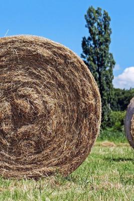 Full Download Hay Bales in the Field Journal: 150 Page Lined Notebook/Diary -  | ePub