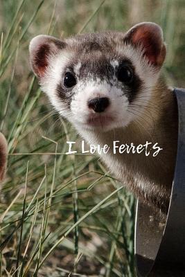 Download I Love Ferrets: Blank Lined Journal - 6x9 - Animal Lover -  | PDF