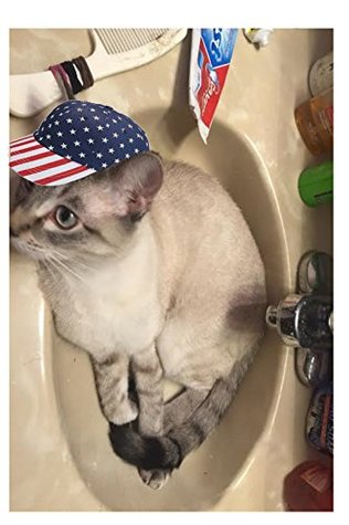 Read Online The Randall McPherson Guide to Winning the Presidency Without Spending a Dime - Randall McPherson file in ePub