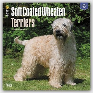 Read Online Soft Coated Wheaten Terriers 2017 Square Wall Calendar -  | PDF