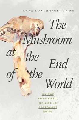 Download The Mushroom at the End of the World: On the Possibility of Life in Capitalist Ruins - Anna Lowenhaupt Tsing file in PDF