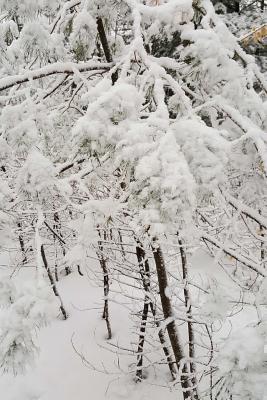 Read Online Winter Day Picture Journal: (Notebook, Diary, Blank Book) -  | PDF