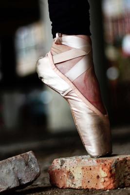 Full Download Cool Ballet Slipper En Point on a Brick Dance Journal: 150 Page Lined Notebook/Diary -  | PDF