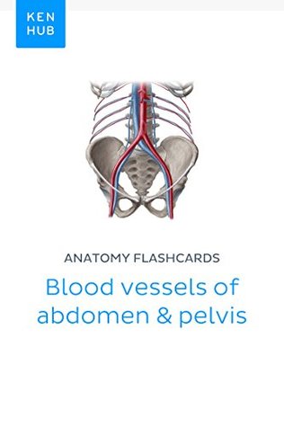 Read Online Anatomy flashcards: Blood vessels of abdomen & pelvis: Learn all arteries and veins on the go (Kenhub Flashcards Book 24) - Kenhub | PDF