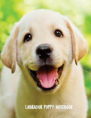 Full Download Labrador Puppy Notebook: 7.44 x 9.69 inch dog journal compostion book, story paper, 200 pages -  file in PDF