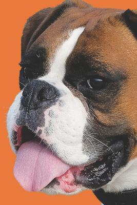 Download Boxer Dog Blank Lined Journal Notebook: A Daily Diary, Composition or Log Book, Gift Idea for People Who Love the Boxer Breed Dogs and Puppies!! -  | PDF