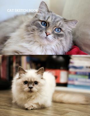 Read Cat Sketch Book: Practice Painting, Drawing, writing, Sketching or Creative Doodling. - Akebia Publishing | ePub