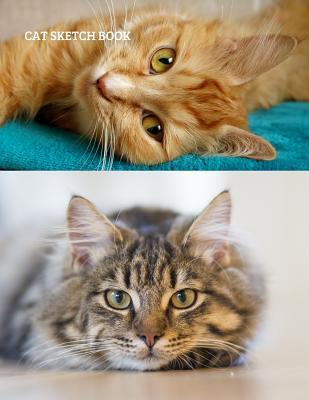 Full Download Cat Sketch Book: Practice Painting, Drawing, writing, Sketching or Creative Doodling. - La Bonnotte Journals | PDF