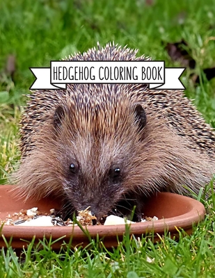 Full Download Hedgehog Coloring Book: Hedgehog Lover Gifts for Toddlers, Kids or Adult Relaxation Cute Stress Relief Animal Birthday Coloring Book Made in USA - Shayne Coloring Book file in PDF